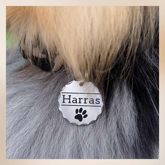 Edelstahl Hundemarke mit Gravur - 30 mm Durchmesser - Runder Anhänger facettiert - Personalisiert mit Name, Motiv und Text